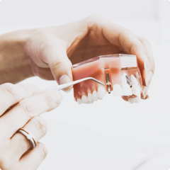 LM odontologia