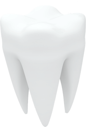 LM odontologia